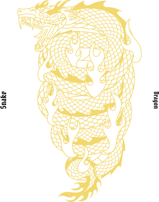 Musu dragon 04